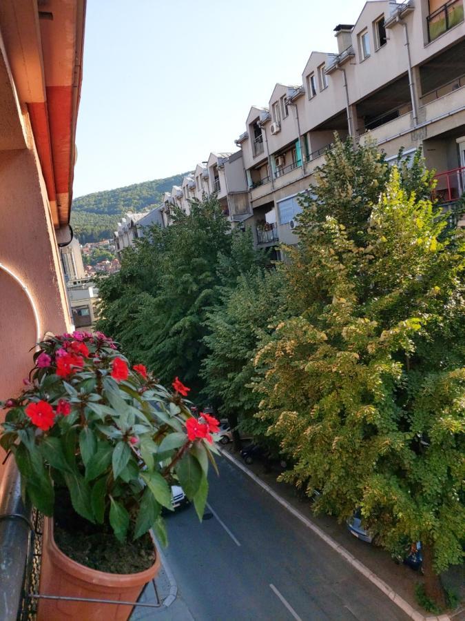 Ino 99 Leilighet Užice Eksteriør bilde
